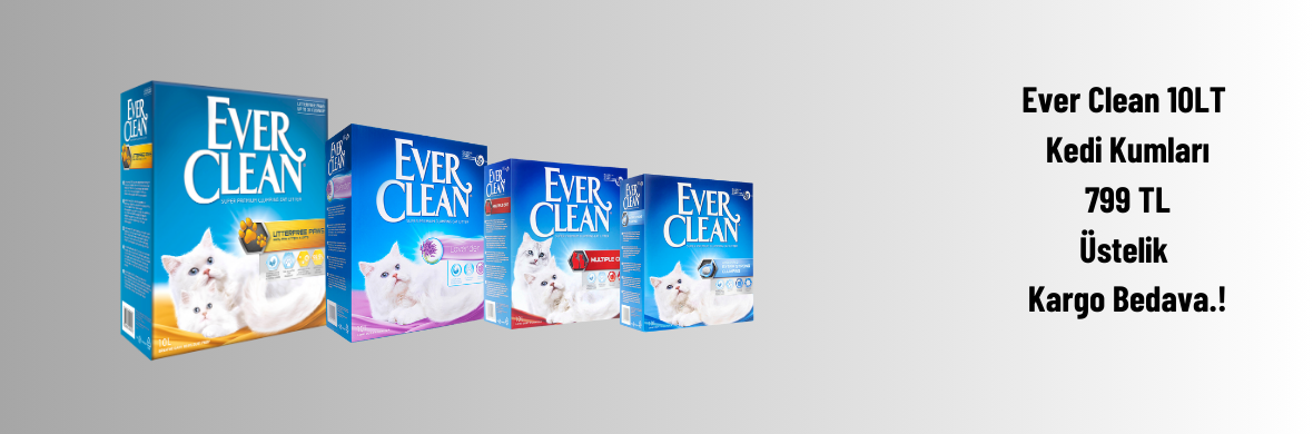 Ever Clean